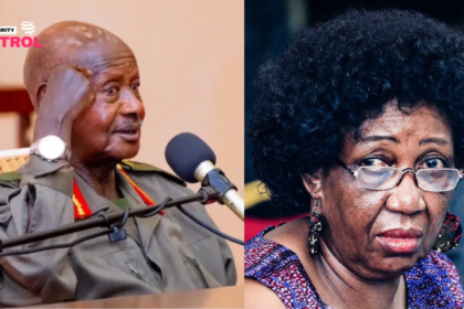 Mariam Wangadya resignation UHRC crisis