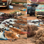 Nakaseke illegal hunting arrests