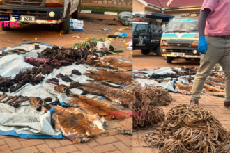 Nakaseke illegal hunting arrests