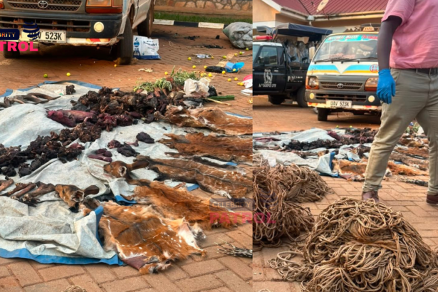 Nakaseke illegal hunting arrests