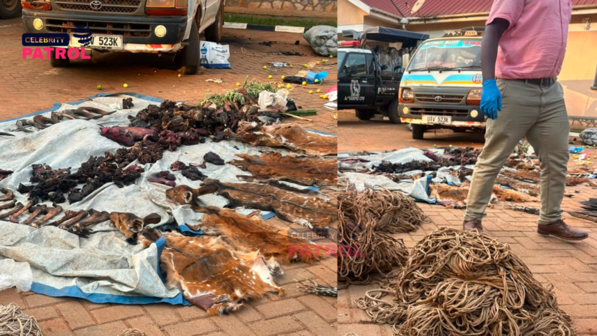 Nakaseke illegal hunting arrests