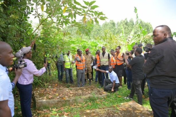 graves allegedly built to inflate compensation claims.