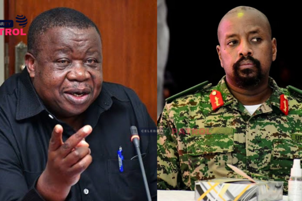 Muhoozi Kainerugaba, Kahinda Otafiire, UPDF, CDF,