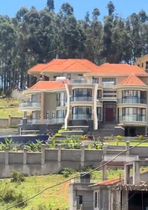 David Lewis Rubongoya viral house image